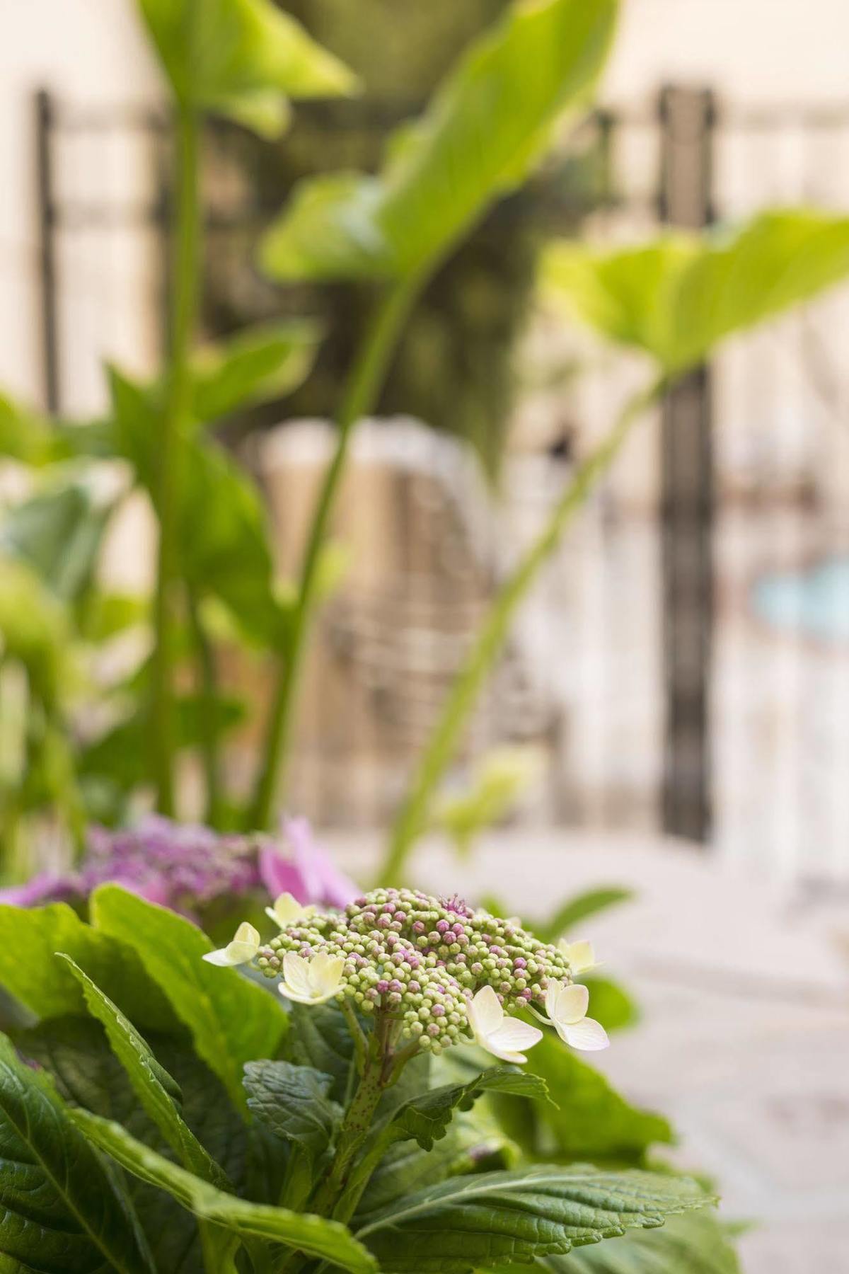 Ayres Hotel Manhattan Beach Hawthorne Εξωτερικό φωτογραφία
